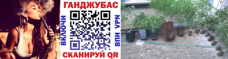 Наркотические вещества Баймак A PVP Псилоцибиновые грибы ГАШИШ Амфетамин Канабис Меф Cocaine