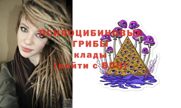 ПСИЛОЦИБИНОВЫЕ ГРИБЫ Алзамай