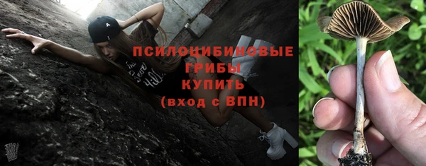 ПСИЛОЦИБИНОВЫЕ ГРИБЫ Алзамай